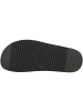 Steve Madden Sandale Mona in schwarz