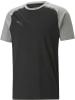 Puma T-Shirt "TeamCUP CasuaLongsleeve Tee" in Schwarz