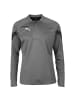 Puma Trainingspullover TeamFinal Training 1/4 Zip Top in grau / silber