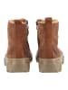 Paul Green Stiefelette in Nut