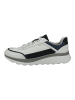 Geox Sneaker Weiß/Navy