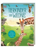 Dorling Kindersley  Buch - Tierkinder der Wildnis