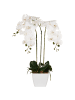 Beliani Kunstpflanze ORCHID in Grün/Weiß - (W) 22 x (H) 59 x (L) 22 cm