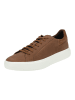 Geox Sneaker in Cognac