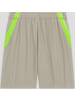 Nike Shorts für Jungen in uni