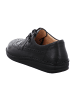 Finn Comfort Komfort Schnürschuhe in Schwarz