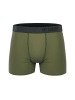 Unbekannt Boxershorts My Essential 3 Pack Boxers Cotton Bio in Green