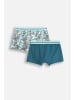 Coccodrillo Unterhose in bunt