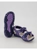 Geox Sandalen in Lila