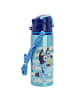 Bluey Aluminium Trinkflasche 730ml mit Strohhalm & Tragegurt
