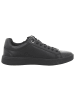 Tamaris Sneaker Low in schwarz