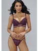 LASCANA Push-up-BH in aubergine