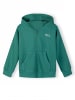Minoti 2-er Pack Kapuzensweatshirt NOSFLEECE407 in graumeliert