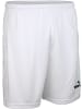 Derbystar Sporthose "Hose Kurz Madrid V25" in Weiß