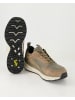SALAMANDER Klassische Schnürschuhe in Beige