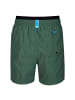 Arena Elastic Band Beach Boxer in Grün