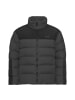 Jack Wolfskin Freizeitjacke in grau