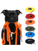 Reichstadt Reichstadt  RS Pets Führleine Texturierte PVC 25RSP085 Orange 5m