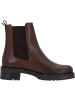 Palado Chelsea Boots Ginel in Braun
