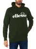 ellesse Sweatshirt Oodia OH Hoody  in grün