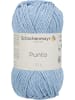 Schachenmayr since 1822 Handstrickgarne Punto, 50g in Wolke