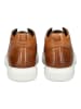 Geox Sneaker in Hellbraun