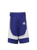 adidas Performance Funktionsshorts N3XT L3V3L Prime Game in blau / weiß