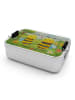 Mr. & Mrs. Panda Lunch Box Biene Verliebt Design ohne Spruch in Weiß