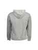 North Sails Graues Baumwoll-Sweatshirt