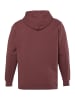 Men Plus Sweatshirt in zimt