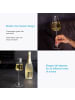 Intirilife Champagner Glas Set Sekt Prosecco in 2x 220 ml Transparent