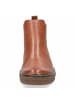 Caprice Stiefeletten für Damen in cognac