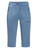 Jack Wolfskin Wanderhose ACTIVATE LIGHT 3/4 PANTS 132 in Blau