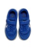 Hummel Klettverschluss Hallenschuh Multiplay Stable Kinder in SURF THE WEB