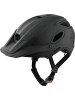 Alpina Alpina Helm Comox