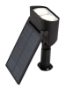 Globo lighting Solarleuchte "SOLARLEUCHTE KUNSTSTOFF black, 32XLED" in black