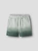 name it Shorts in Pale Aqua