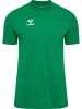 Hummel Polo Hmlgo Herren in JELLY BEAN