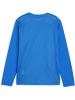 Puma Sportshirt "TeamGoal Longsleeve Jersey Jr" in Blau