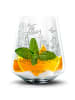 Mr. & Mrs. Panda Whiskeyglas Waldtiere Picknick ohne Spruch in Transparent