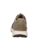 Josef Seibel Sneaker in Beige