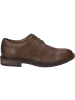 Josef Seibel Halbschuh Bradley 01 in braun