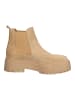 Steve Madden Stiefelette in Camel