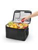 EASYmaxx Kühltasche faltbar 30l schwarz/dunkelgrau  Schwarz