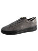 Geox Turnschuhe D Pontoise E Grau