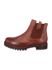 Gabor Stiefeletten braun