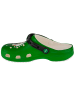 Crocs Crocs Classic NBA Boston Celtics Clog in Grün