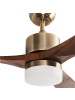 Beliani Deckenventilator mit Licht ARUWIMI in Braun/Messing