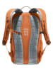 Deuter Rucksack Stepout 16 in Chestnut/Ivy