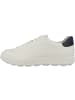 Geox Sneaker low U Spherica Ecub-1 A in weiss